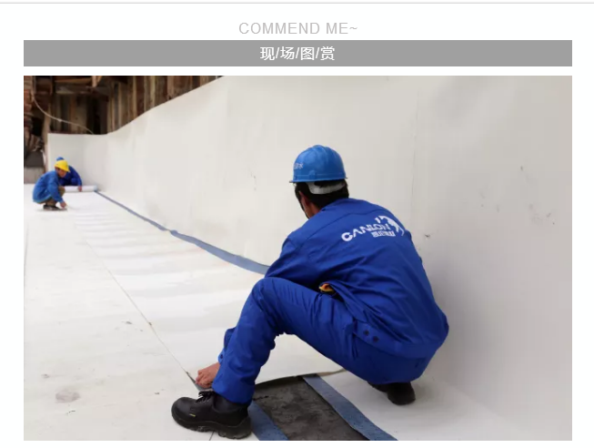 曾氏贵宾会|HOME