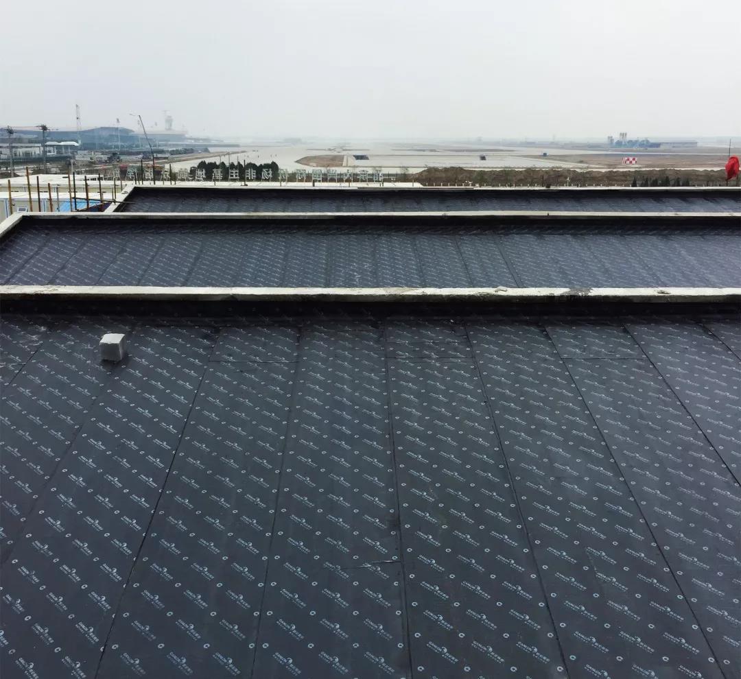 曾氏贵宾会|HOME