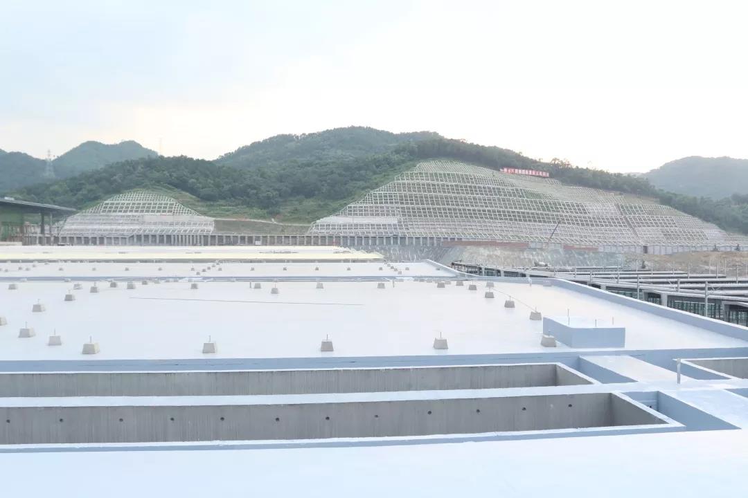 曾氏贵宾会|HOME