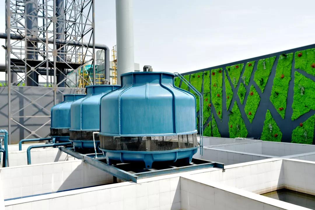 曾氏贵宾会|HOME