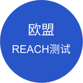 曾氏贵宾会|HOME