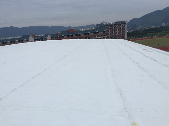 曾氏贵宾会|HOME