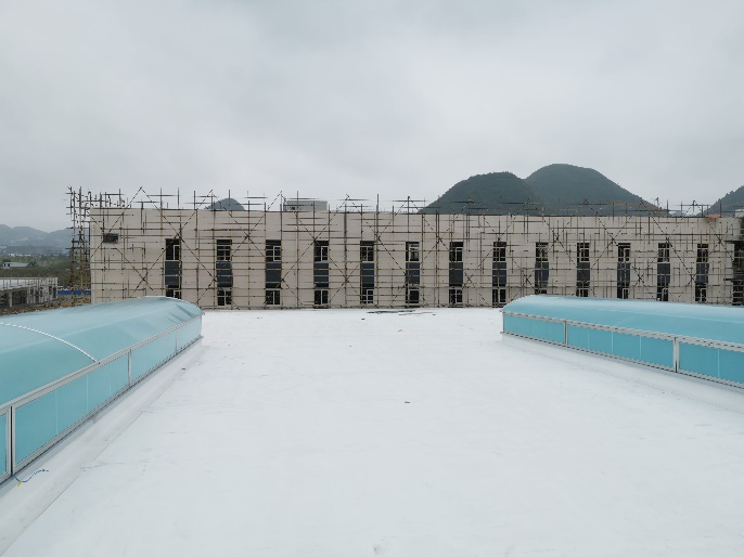 曾氏贵宾会|HOME