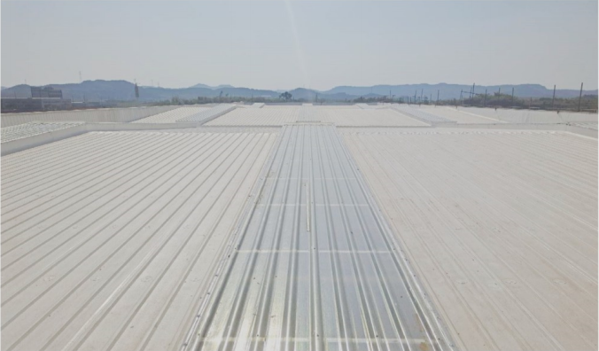 曾氏贵宾会|HOME