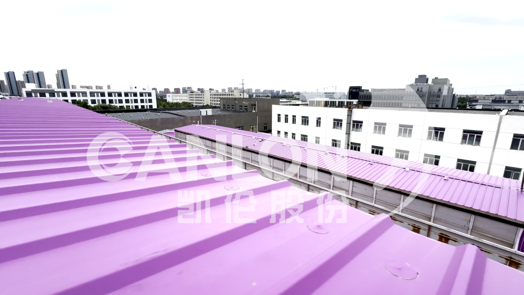 曾氏贵宾会|HOME